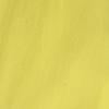 STUSSY Back print Long sleeve T-shirt L yellow Ron T Men's Used