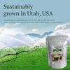 250g Premium Barley Grass Powder Green Tea Natural Organic Barley Grass Powder