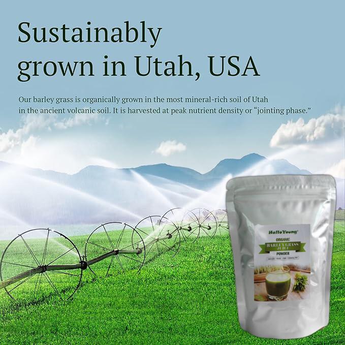 250g Premium Barley Grass Powder Green Tea Natural Organic Barley Grass Powder
