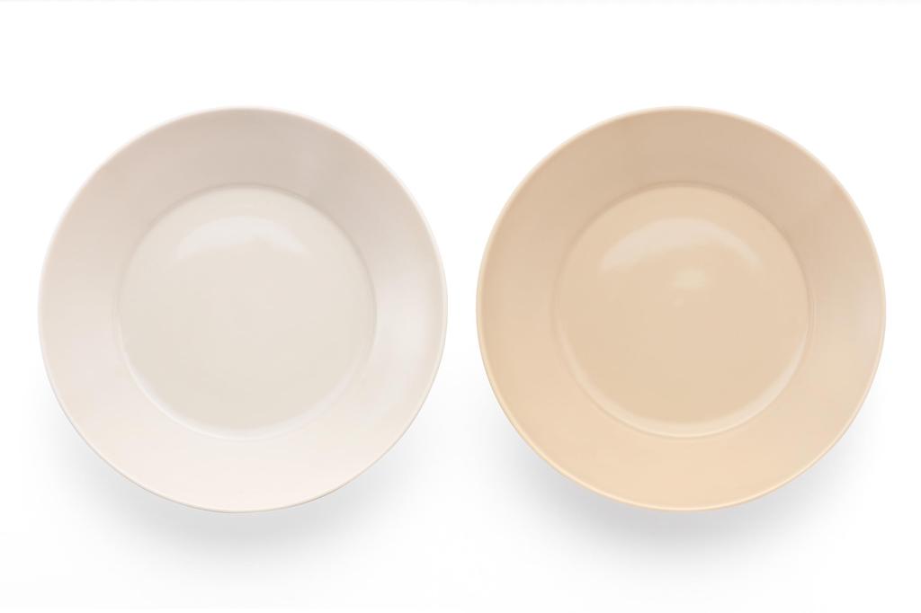 Yamaka Shoten Curry Plates, Round Plates, and Pair of Simple Happy Dining Pasta Plates (Set of 2)