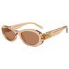 Miu Miu Mu06zs 13t1p1 Women Sunglasses