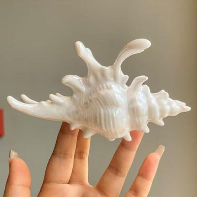 Damen Muschelform Haarklammer Rutschfest Große Haarspange Meeresschalen-Design Kunststoff Haarnadel Haaraccessoire