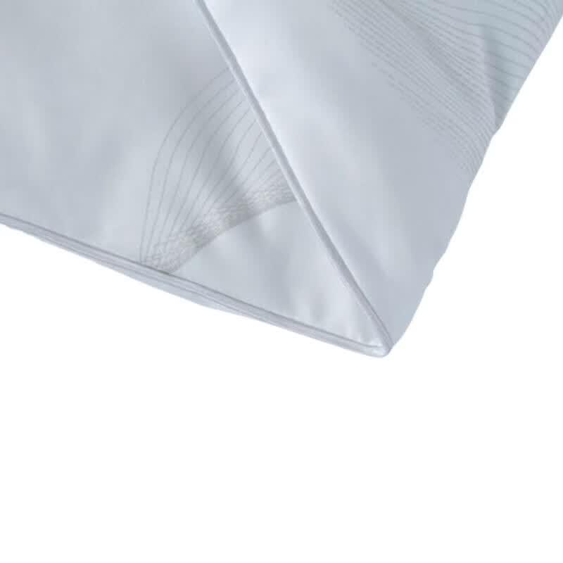Burenshu Lyocell Goose Down All-Season Comforter