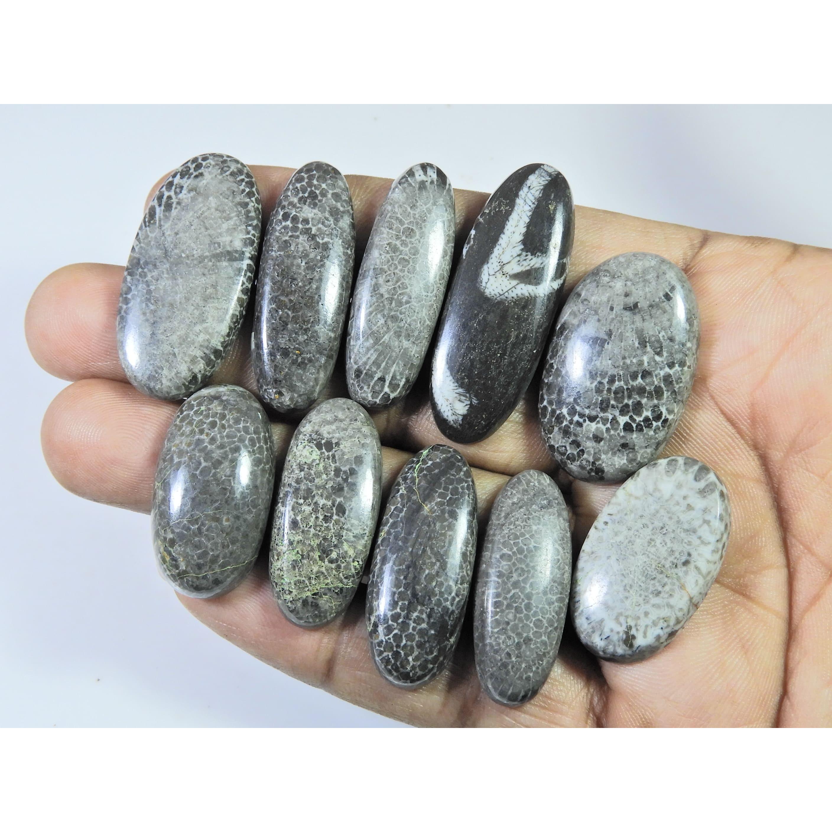 

268Cts. Natural Black Fossil Coral oval Cabochon Loose Gemstone 10 Pcs Lot C-644