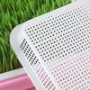 1 Set Hydroponic Plant Germination Trays Double Layer with Lid Sprouting Tray Insulation Household Nursery Plate Grass