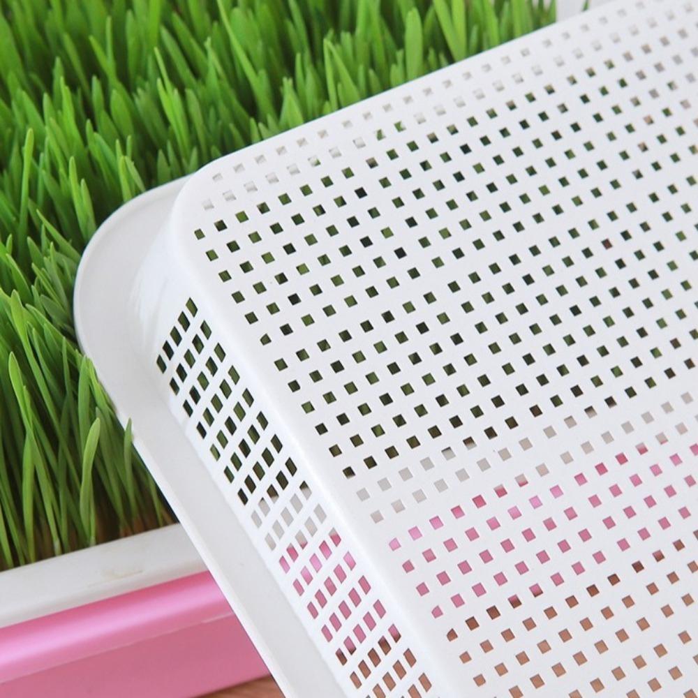 1 Set Hydroponic Plant Germination Trays Double Layer with Lid Sprouting Tray Insulation Household Nursery Plate Grass