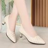 Soft Leather Women's Shoes Spring and Autumn Single Shoes Women's Medium Heel High Heels Stiff Heel Work Shoes Soft Leather Shoes One Pedal