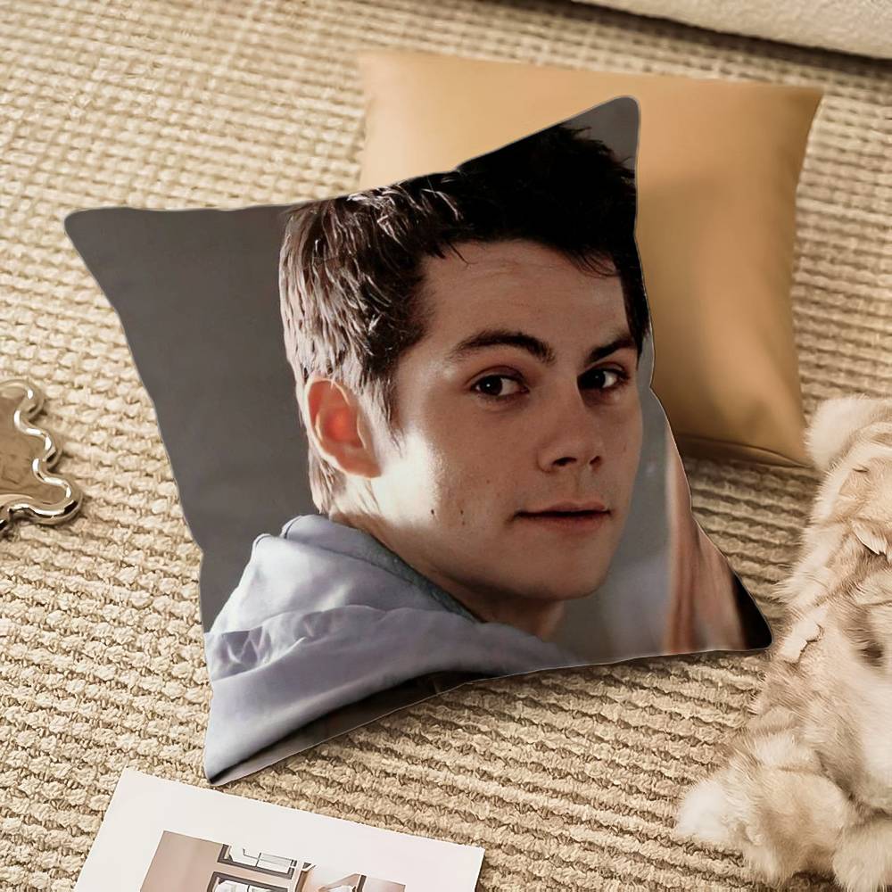 D-Dylan O Brien Pillow Case Anti-dustmite Invisible zipper Sofa Bed