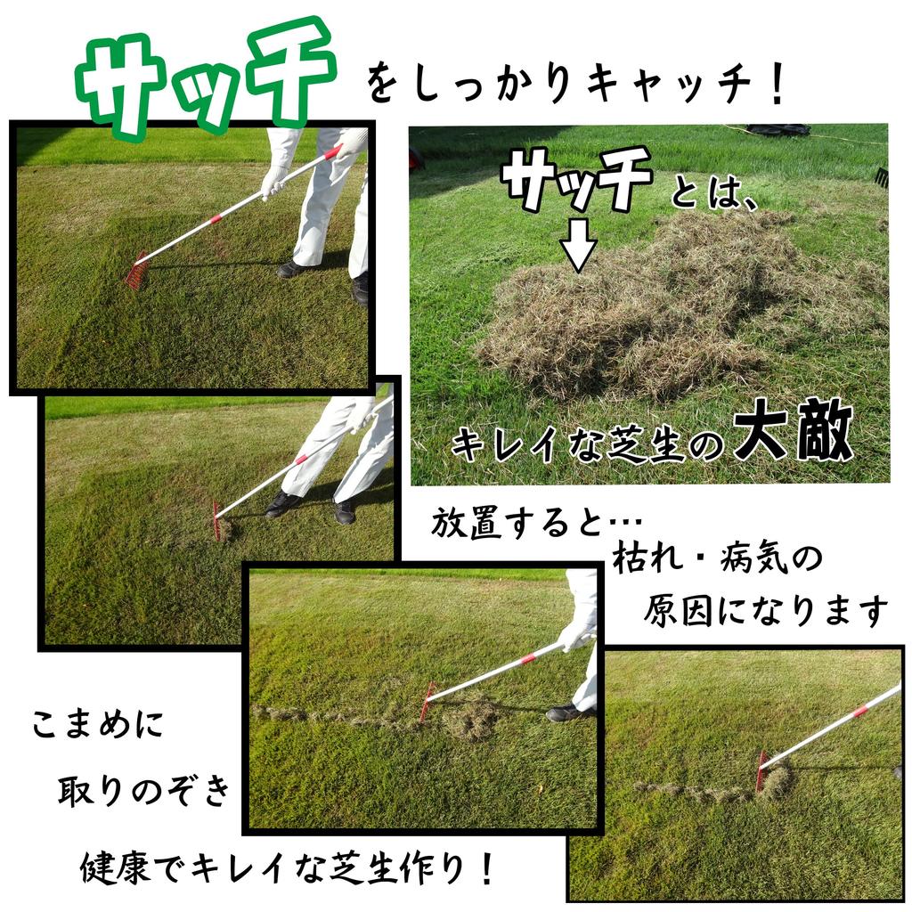 Kinboshi Telescopic Lawn Thatch Rake, Venus Design, 12 Prongs, Aluminum Handle, 4036