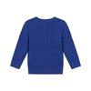 Polo Ralph Lauren Embroidered Logo Crew Neck Long Sleeve Knit Sweater Slim Fit Men Sweater 323702674-080