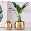 Goldene Keramikblumentöpfe Moderne Dekoration Blumenvase Dekoratives Arrangement Schreibtischdekoration Vergoldete Vasen Hausgartendekoration