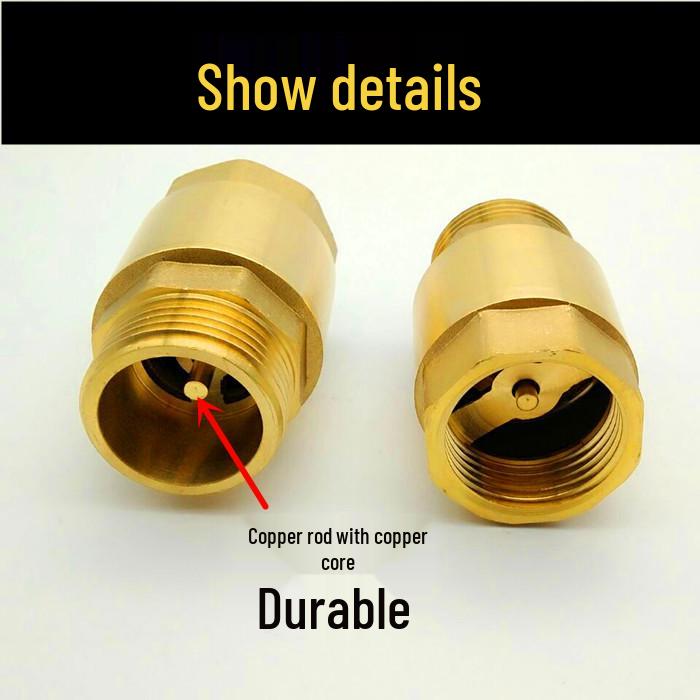 Brass Vertical Check Valve, Water Pipe Backflow Preventer, 1 Inch, Male/Female Thread, Unidirectional Valve.