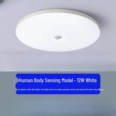 OEING Motion Sensor LED Ceiling Light (Pack of 2)