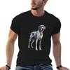 Koszulki i topy – T-shirty i koszulki