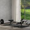 Hydraulický veslařský trenažér 12 úrovní s LCD displejem, pro kardio trénink doma, max. nosnost 130 kg, černá