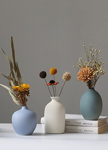AIVAR Ceramic Single Flower Vase, Stylish Ceramic Flower Vase, Set of 4, Japanese and Western Style, Mini Vases, Suitable for Aquatic Plants, Ikebana,