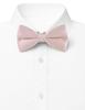 [Bowties jp] Light pink bow tie bc00012