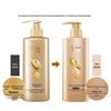 ShuLei Ginseng Ginger Hair Strengthening Shampoo