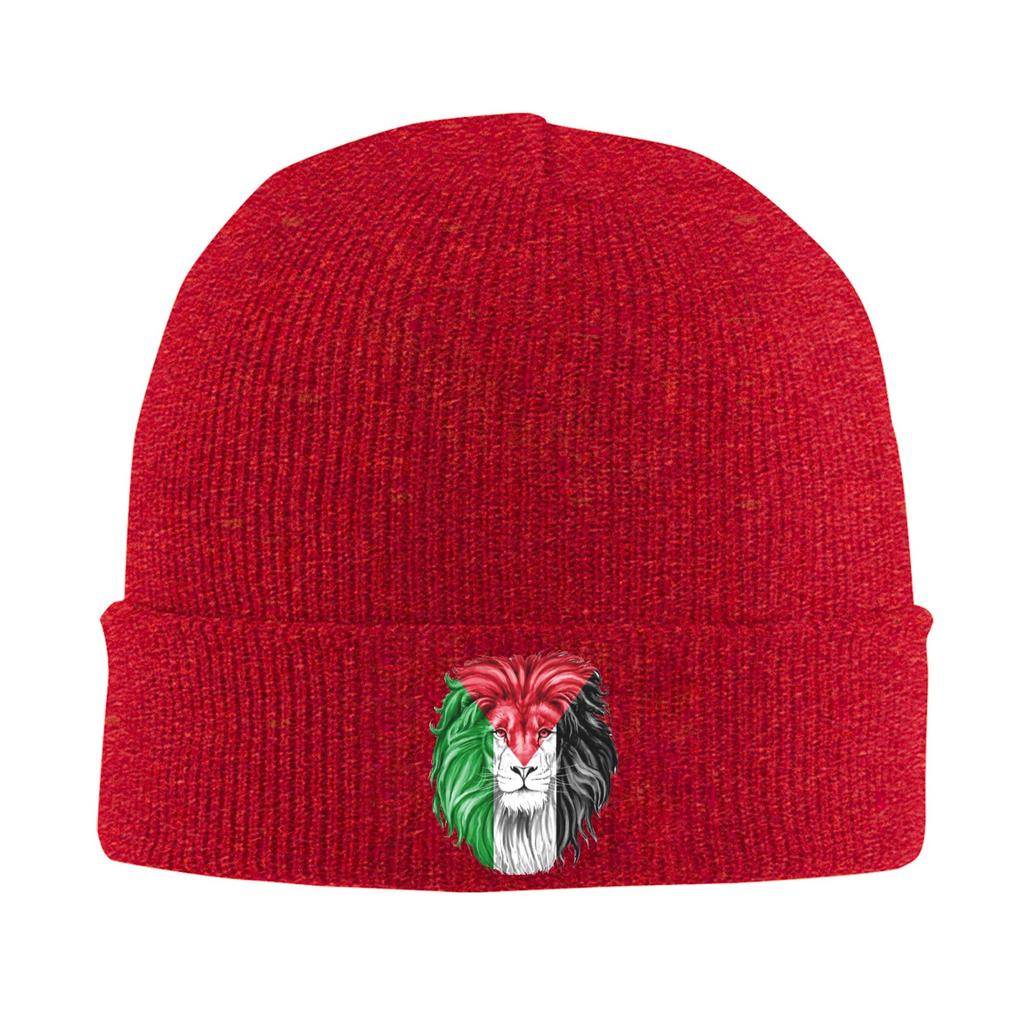 Female Male  Beanie Hats  Vintage Knit Hat Winter Hippie Caps Graphic Thermal Elastic Bonnet Hats