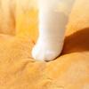 Cat Cave Warm Bed Soft Indoor Puppy Sleeping Bed With Capybara Design Small Cat Winter Warm Cave For Indoor Bedroom Living Room
