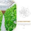 25Pcs Metal Holding Clips W Type Greenhouse Glass Fixing Clips for Stable Glazing Installation Greenhouse Fixing Tool