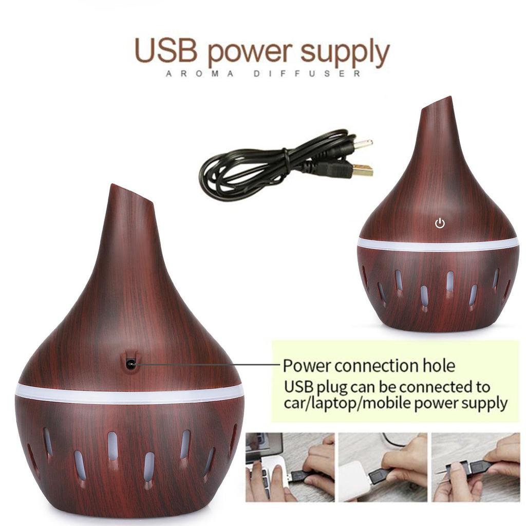 USB Rechargeable Indoor Air Purifier & Humidifier Atomizer