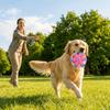 Squeaky Dog Chew Toy Cotton Rope Rope Dog Toy Dog Plate Game Dog Flying Disc  Teeth Cleaning