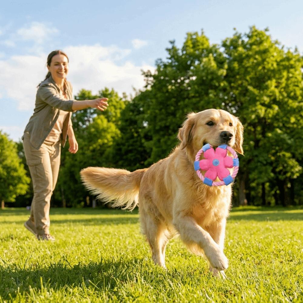 Squeaky Dog Chew Toy Cotton Rope Rope Dog Toy Dog Plate Game Dog Flying Disc Teeth Cleaning