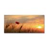 Scenic Entrance Mat Kitchen Strip Bedroom Floor Mat Study Bay Window Mat Living Room Carpet