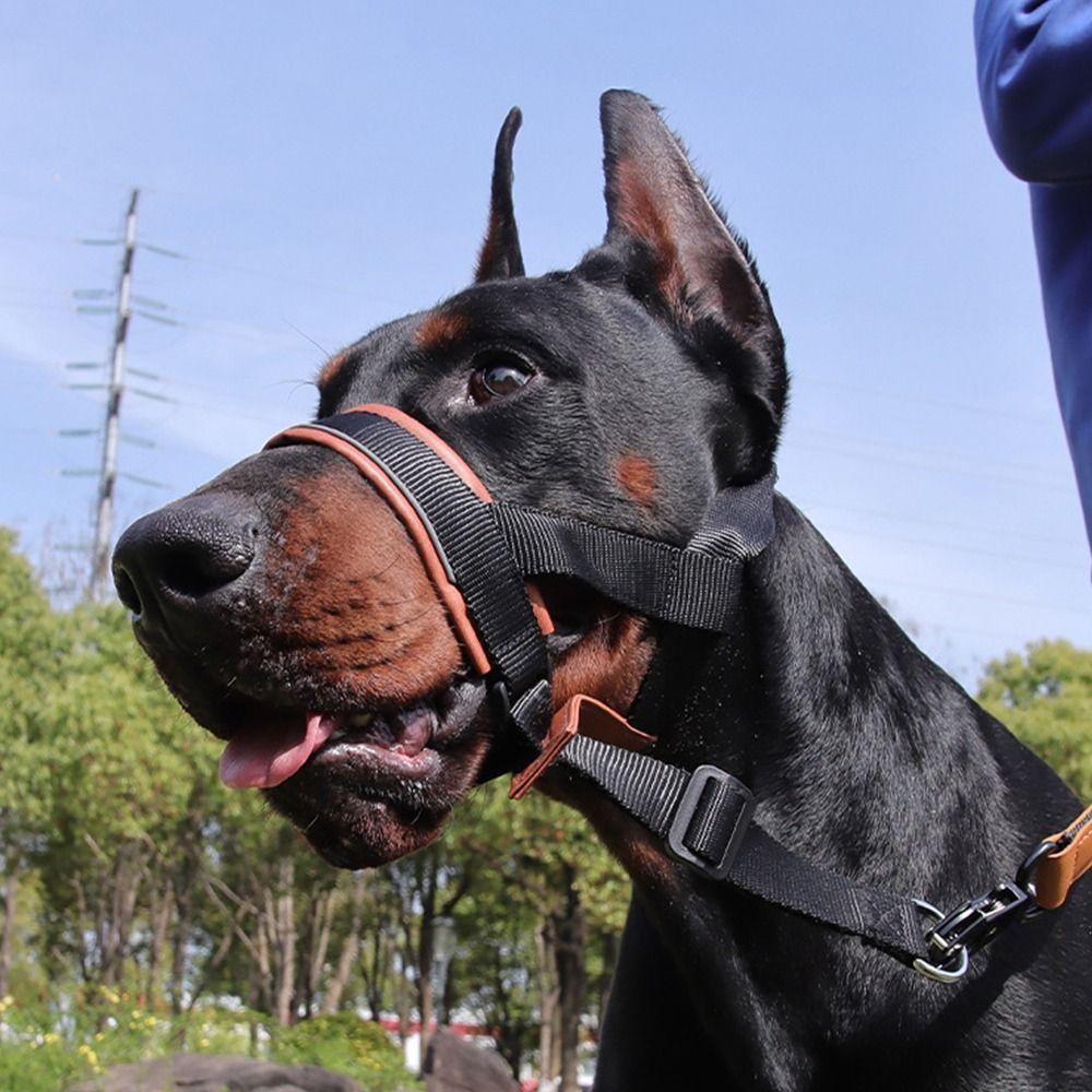 Quick-release Dog Leash Anti-biting Dog Mouth Cover Dog Muzzle Feeding Water Supplies