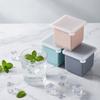 Accesorii pentru bar – Forme pentru gheață