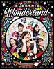 Momoiro Christmas 2017 ~Perfect Electric Wonderland~ LIVE Blu-ray [Limited First Press Edition]