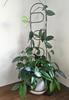 Black Metal Support for Climbing Plants Portale 60cm - Modern Ladder for Flowers and Pots, Support Frame for Monstera and Hoje