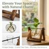 Hydroponic Plant Glass Vase with Wooden Stand, Simple Desktop Home Decoration, Green Plant Cultivation Container