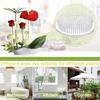 Zen Style Flower Arrangement Kit: Essential Plastic Flower Holders - Set of 3