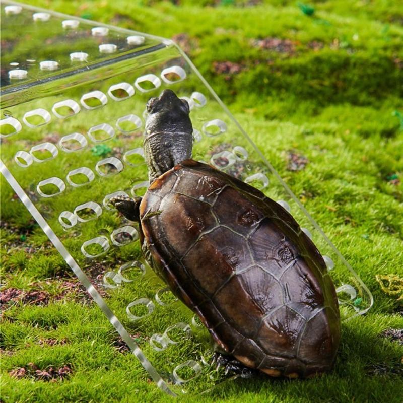 Turtle Basking Platform Turtle Floating Island Aquariums Island Climbings Turtle Ladder Aquariums Accessories Decoration