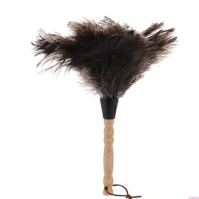 Natural Ostrich Feather Duster with Wood Handle Eco-Friendly Dust Brush Handheld Duster Cleaning Supplies China Mainland