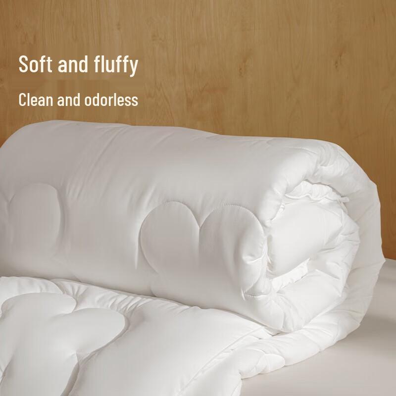 

Aimeijia Dual-Core Temperature Control Australian Wool Quilt