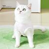 Stripes Pattern Pet Suit Soft Comfortable Fastener Tape Breathable Anti-scratch Anti-licking Puppy Supply Polyester Print Surgical Clothes Spring