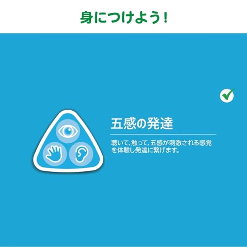 Early Learning Center Light-Up Rainmaker Shake and Roll Fun Shaker Rattle Educational Toy Baby Toy Baby Shower Gift 148934 Authentic