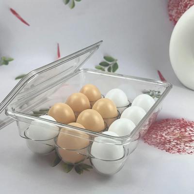 Gıda Kapları – Yumurta kapları