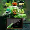 Regenwald Terrarium Zeitschaltuhr Sprühsystem Zerstäubungsset Klettertier Schildkrötenbox Intelligentes Sprühen Hohe Qualität Geräuscharm