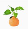 Minimalist Orange Shaped Vase Decorative Tabletop Ornament Hydroponic Flower Pot Creative Craftwork for Living Room Desktop Arrangement