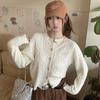 Embroidered Knitted Jacket Women's Autumn and Winter New Korean Lazy Wind Twist Sweater Single-row Button Cardigan