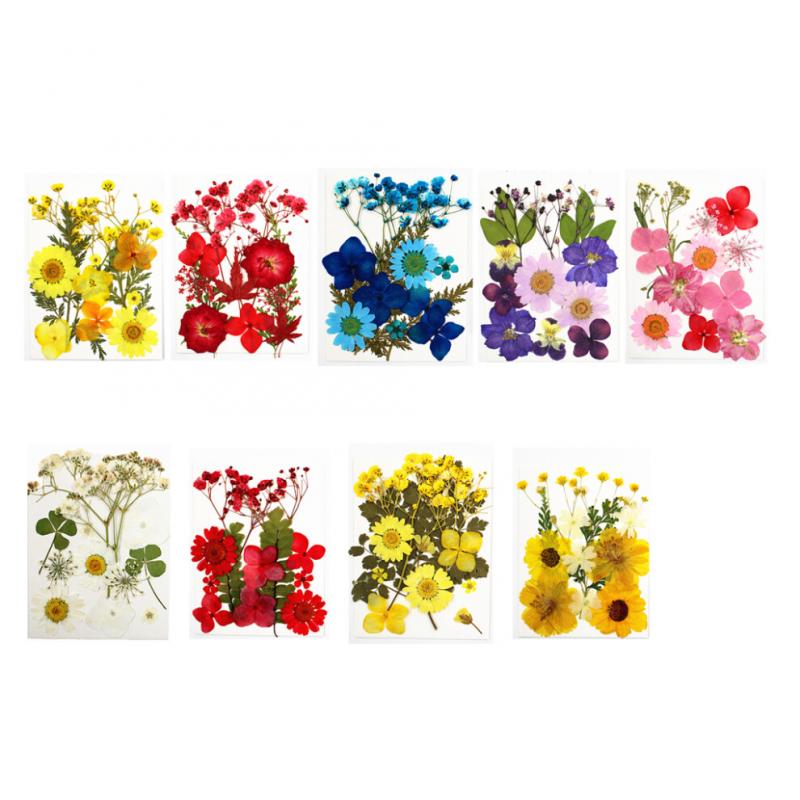 (Violett) Trockenblumen Set Echte Blumen Aufklebermaterialien Gepresstes