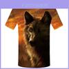 T-shirts e tops – T-Shirts