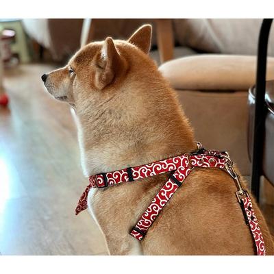 Dog Chest Leash, Harness for Small and Medium-sized Dogs, Shiba Inu Walking Leash, Anti-dog Supplies, Red
