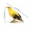 Artificial Oriole Avian Woodland Design Decor Simulation Model Handmade