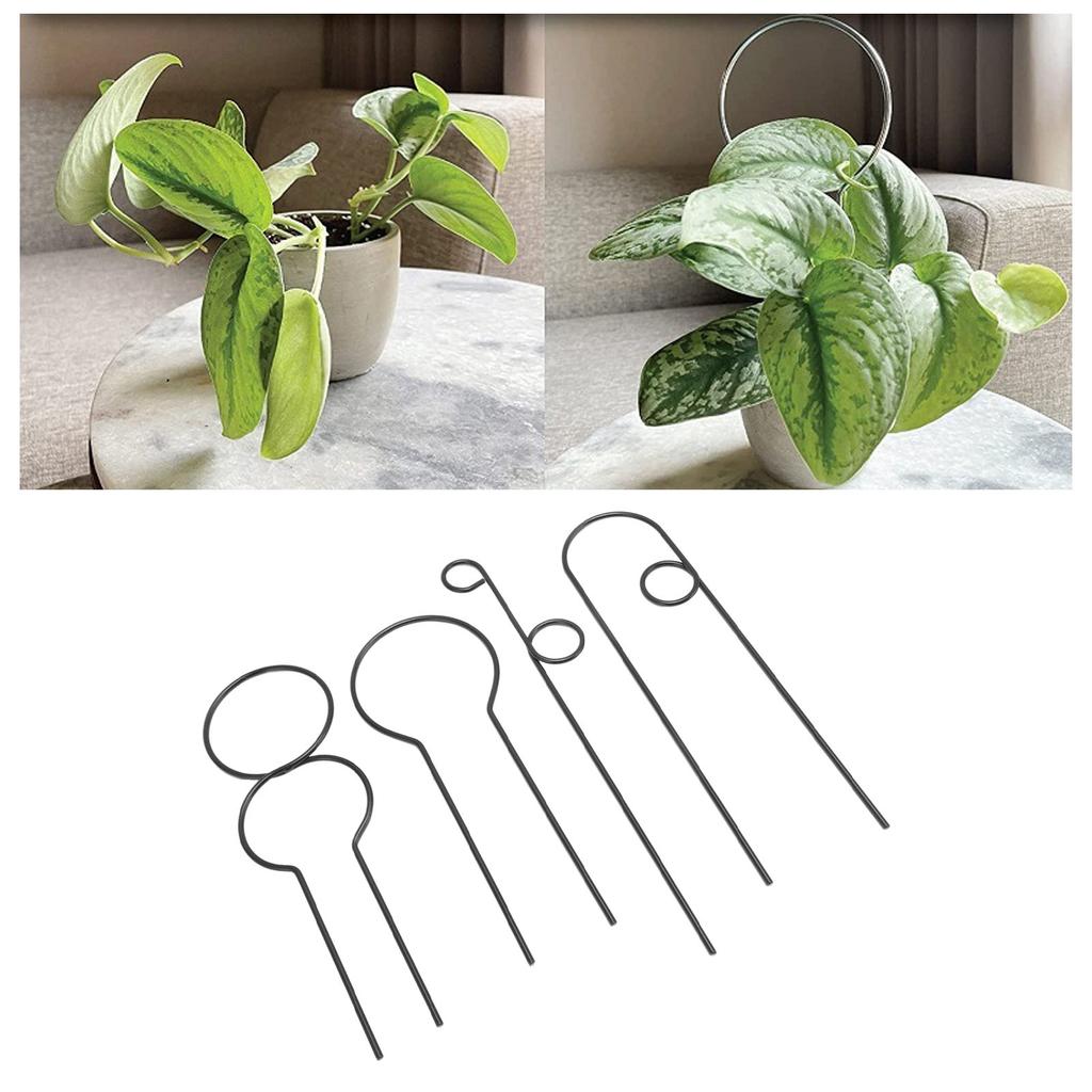 4pcs Plant   Rust Proof Stylish Metal Climbing Plant   for Home Garden Potted Plant