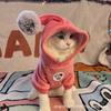 Double-layer Composite Thickened Crystal Super Soft Velvet Autumn and Winter Bipod Pet Dog Dog Clothes Cat Small Medium and Large Dog